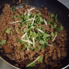 A picture of Chatpata qeema katakat.