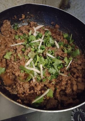 A picture of Chatpata qeema katakat.
