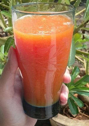 Foto resep Jus wortel pepaya