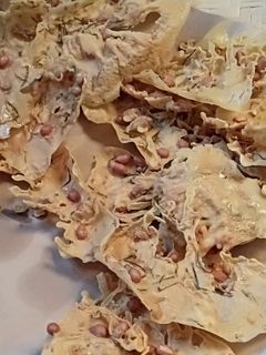 Foto resep Peyek kacang udang