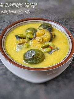 Foto resep Gulai Tempoyak Santan : Patin, Terong & Pete