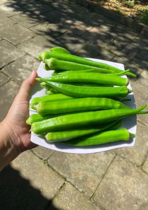 Hình của món Đậu bắp luộc.