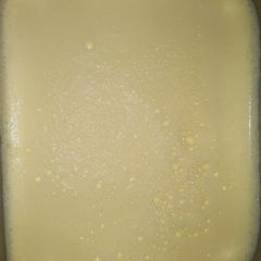 Custard A picture of Custard.