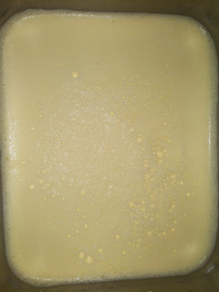 A picture of Custard.