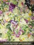 Spicey salad