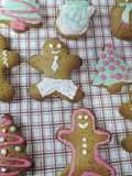 Gingerbread cookies του Άκη