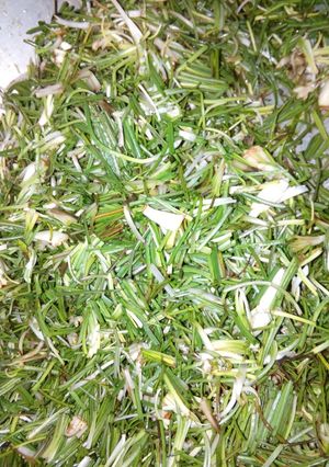 صورة لوصفة تفريز المشّة