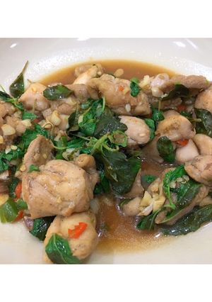 รูปของ กะเพราไก่พริกสด