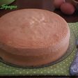 Pan di Spagna
