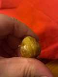 Castagne al forno