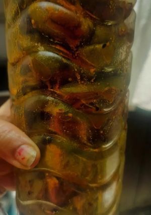 आम का कम तेल वाला अचार रेसिपी मुख्य फोटो