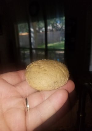 A picture of Gios cookies.