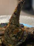 Oven-Baked Lamb Chops