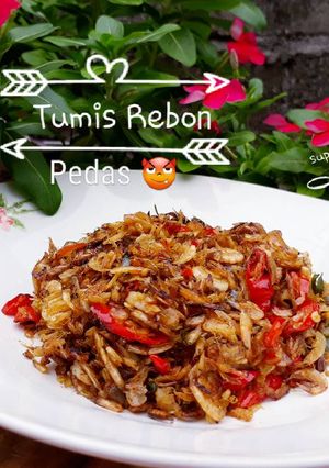 Foto resep Tumis (udang) Rebon Pedas