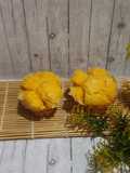 Bolu kukus ubi kuning keju