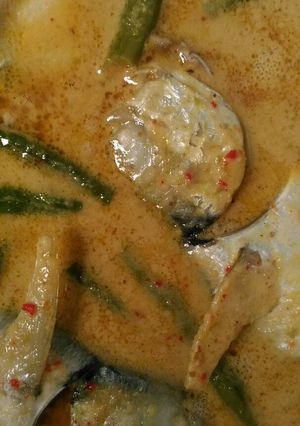 Foto resep Gulai ikan with chili padi