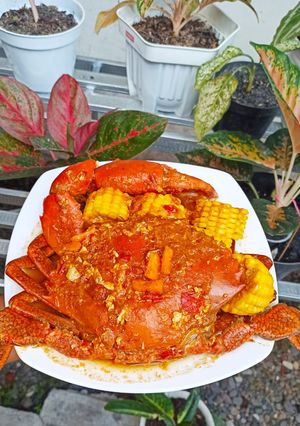 Foto resep Kepiting saus padang