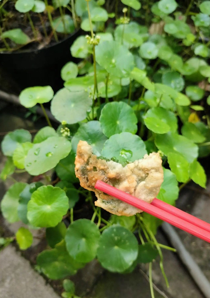 Foto resep Pegagan Krispi