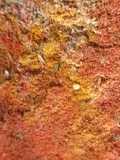 Garam masala