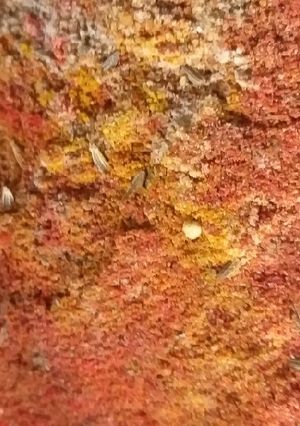 Una foto de Garam masala