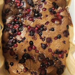 A picture of Brownie.