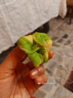 Foto resep Pastel Daun Barendo