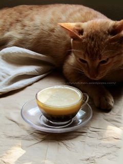 Hình của món Cà phê trứng.