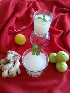 ઇન્સ્ટન્ટ આમળા શરબત (Instant Amla Sharbat Recipe In Gujarati) રેસીપી મુખ્ય ફોટો