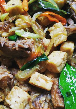 Foto resep Oseng-oseng Tempe Daging Pedas Manis
