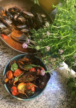 Une photo de 🦪Moules 🍃cuisine 🪹🍂du sud🍤