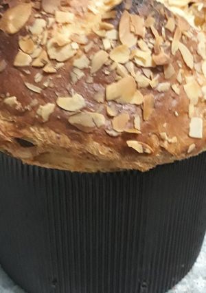 Foto principal de Panettone en Thermomix