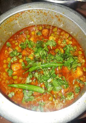 A picture of Mater Paneer.