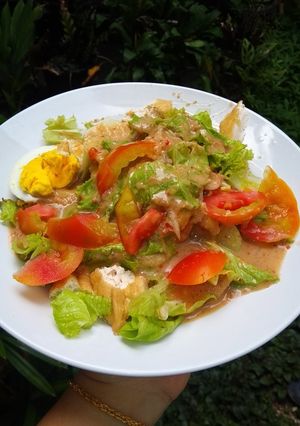 Foto resep Gado Gado Siram