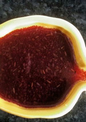 A picture of Kokum Syrup.