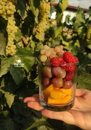 عکسی از دستور سالاد میوه