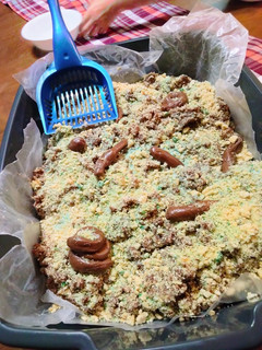 A picture of Cat Litter Cake 🍰.