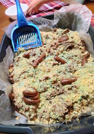 A picture of Cat Litter Cake 🍰.