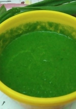 A picture of Spring onion coriander mint chutney.