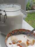 Homemade Yogurt