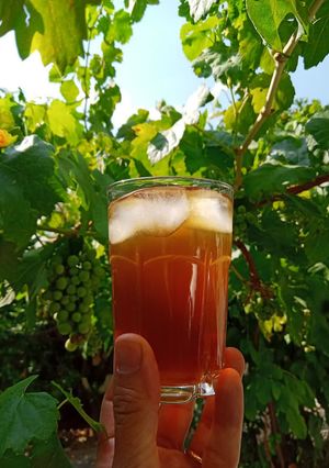 عکسی از دستور سرکه شیره نوشابه ای با خواصی بی نظیر برای تابستان