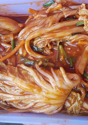 Foto resep Kimchi Authentic Korea