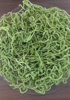 પાલક સેવ (Palak Sev Recipe In Gujarati) રેસીપી મુખ્ય ફોટો