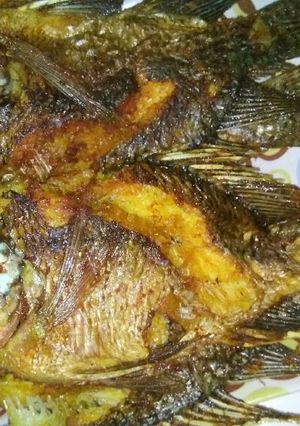 Foto resep Ikan goreng bumbu kuning *No-MSG* cuma ngesave takut lupa 😁