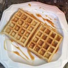 A picture of Waffle.