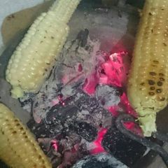 A picture of Mahindi choma.