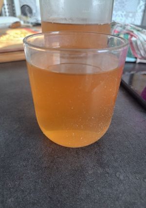 Une photo de ICE tea pêche citron