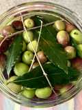 Olive in salamoia