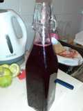 Kvass de Beterraga y Menta