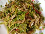 Gambar kangkung bunga pepaya