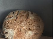 A picture of honey wheat